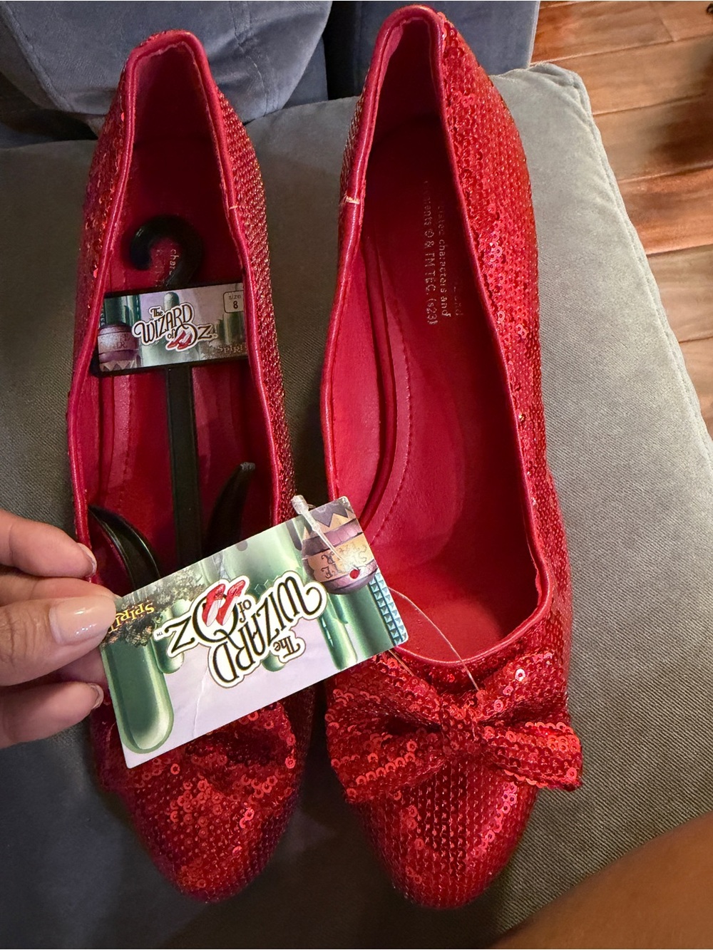 Shoes costume Doroti the wizard of oz